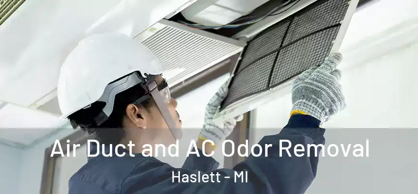 Air Duct and AC Odor Removal Haslett - MI