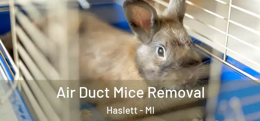  Air Duct Mice Removal Haslett - MI