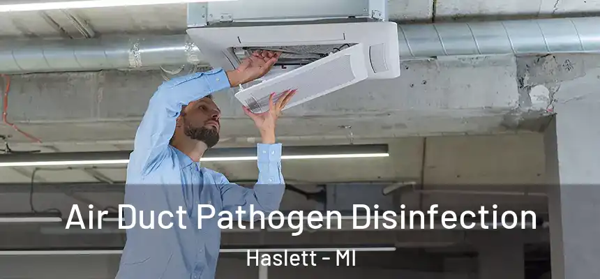 Air Duct Pathogen Disinfection Haslett - MI