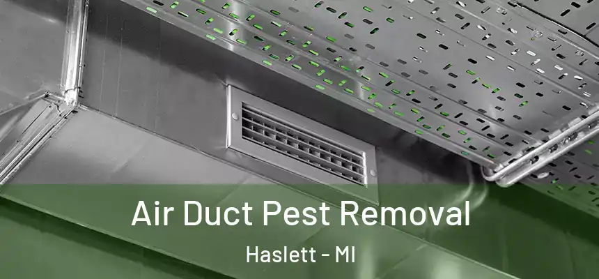  Air Duct Pest Removal Haslett - MI