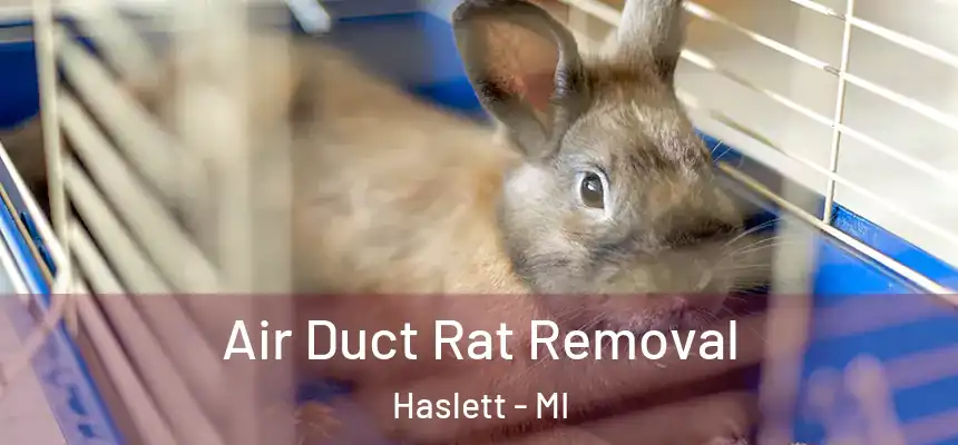  Air Duct Rat Removal Haslett - MI