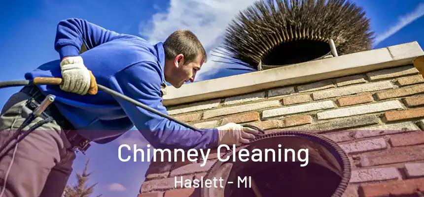  Chimney Cleaning Haslett - MI