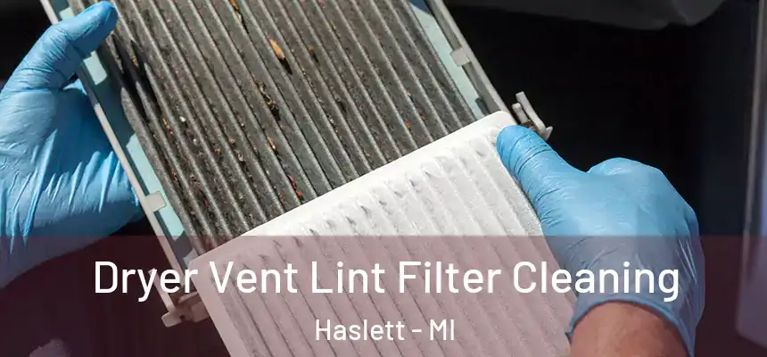  Dryer Vent Lint Filter Cleaning Haslett - MI