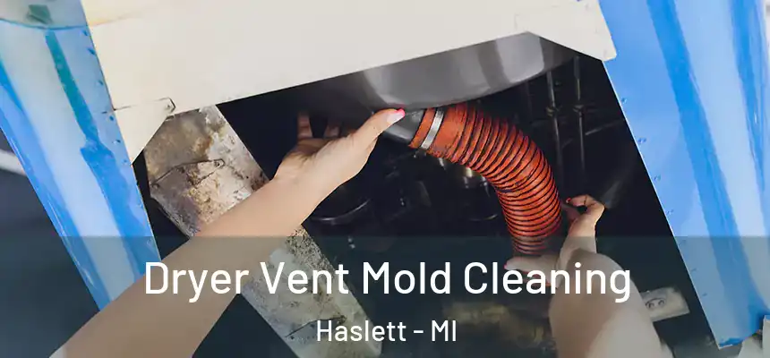  Dryer Vent Mold Cleaning Haslett - MI