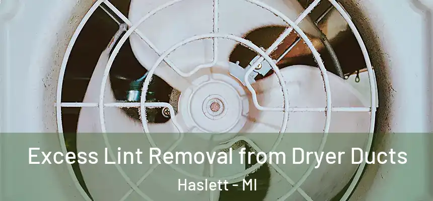  Excess Lint Removal from Dryer Ducts Haslett - MI