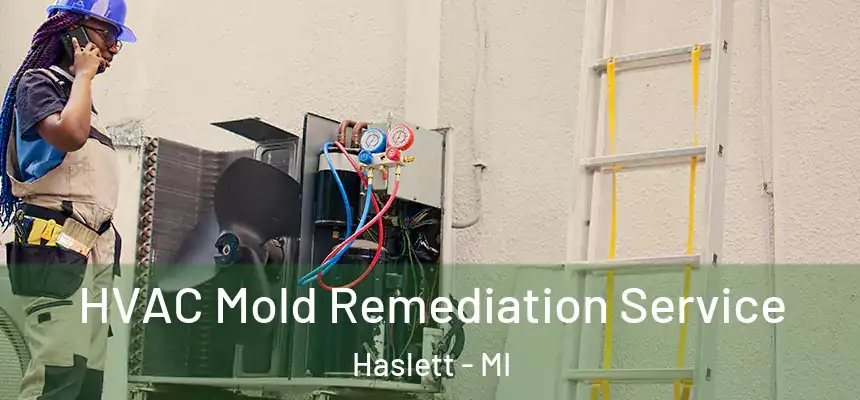  HVAC Mold Remediation Service Haslett - MI