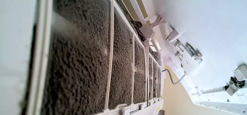 Preventive Air Duct Bacteria Removal in Haslett