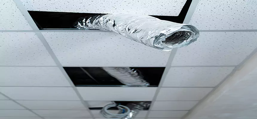 Our Air Duct Pet Hair Removal Services in Haslett, MI