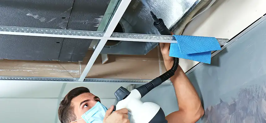 Our Air Duct Rodent Removal Services in Haslett, MI