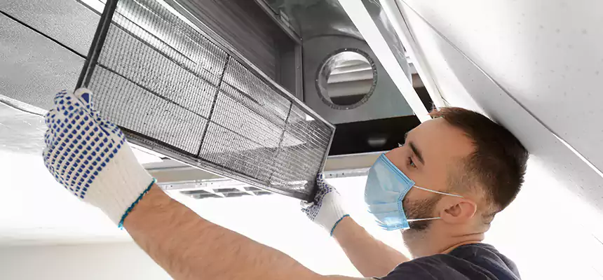 Diagnostic HVAC Coil & Blower Cleaning in Haslett