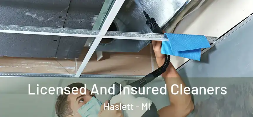 Licensed And Insured Cleaners Haslett - MI