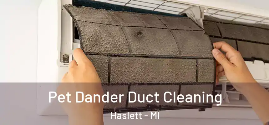 Pet Dander Duct Cleaning Haslett - MI