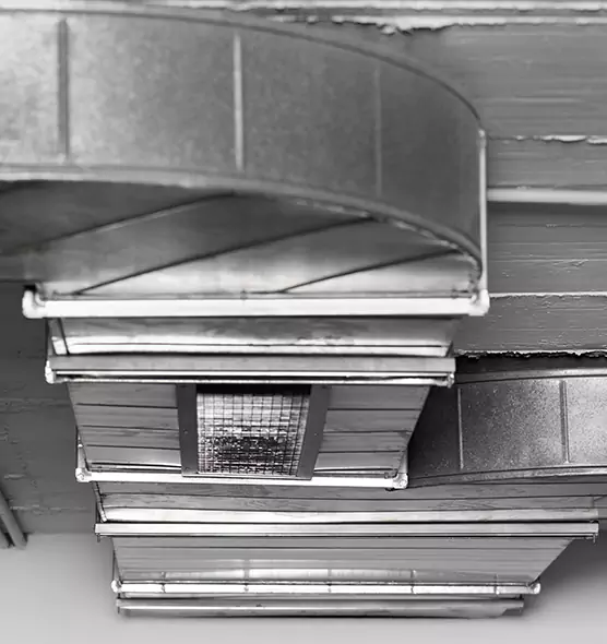 Professional Air Duct Pest Removal in Haslett, MI