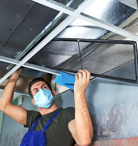 Professional Air Duct Pollen Cleaning in Haslett, MI