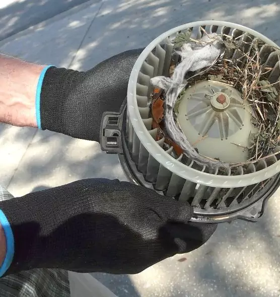 About Air Duct Rat Removal in Haslett, MI