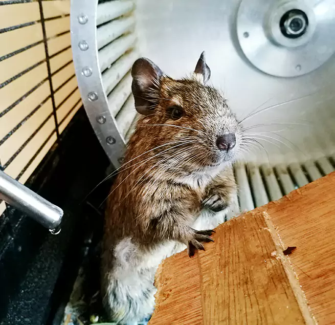 Why Homeowners & Businesses Trust Us Haslett, MI